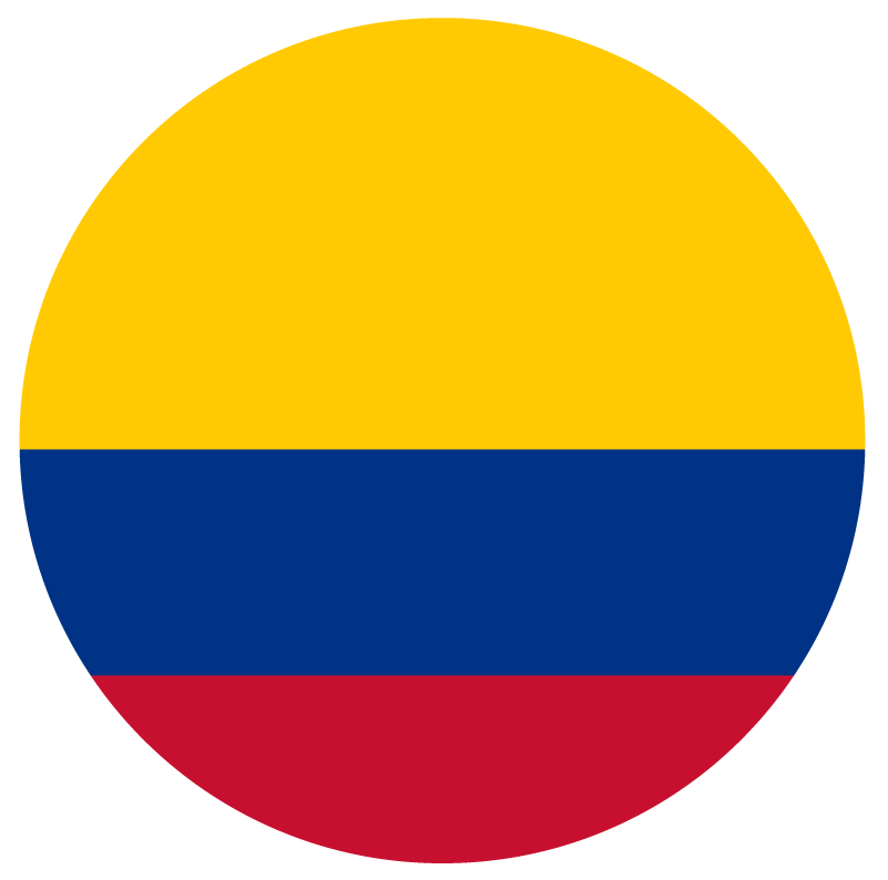 bandera3