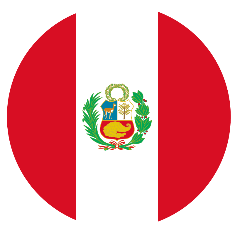 bandera6